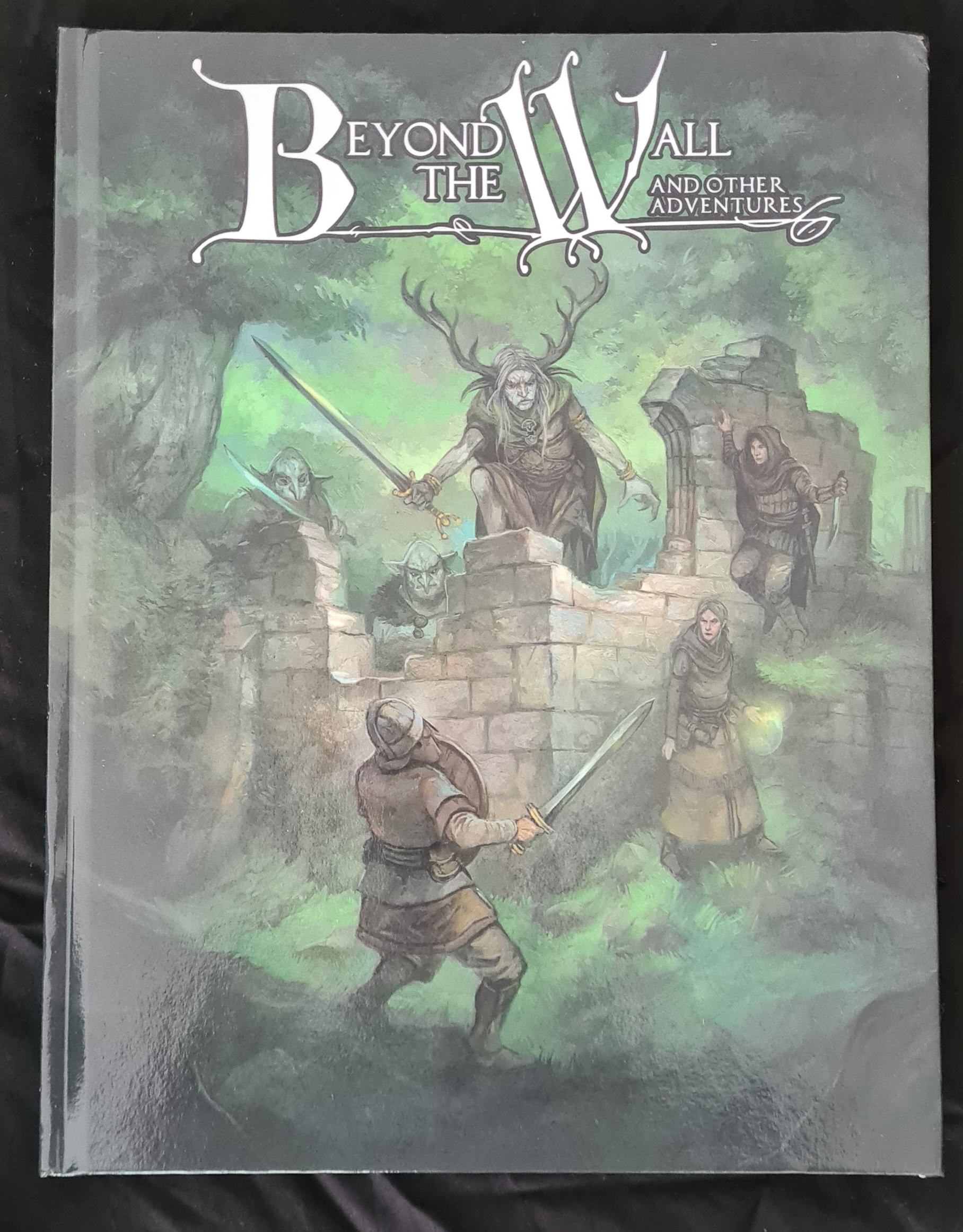 Cover of the Beyond the Wall book. It shows a fight scene in a ruin that's in a forest.